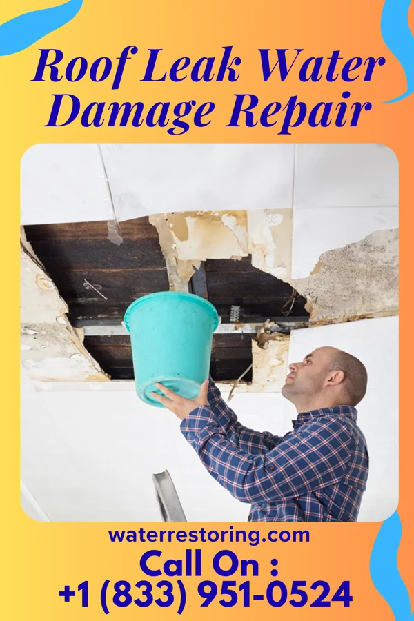 Roof Leak Water Damage Repair in DeFuniak Springs, FL